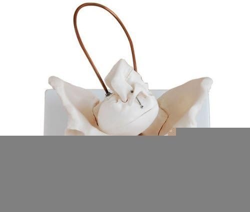 YOHOSO Human 1:1 Size Birth Demonstration Joint Simulation Model Anatomy