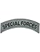 PVT-103, Special Forces Tab, ACU with Fastener (A-1-677) PATCHES & TABS-W/VELCRO