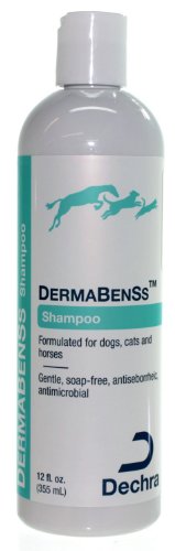 DermaPet DermaBenSs Shampoo 12oz by ThePetStop