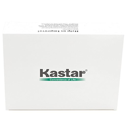 Kastar Replacement Internal Battery iPad Mini1 (1st Generation iPad Mini) Fixes for Apple 616-0627, 616-0633, 616-0688 and Apple A1432, A1445, A1454, Apple iPad Mini, iPad mini Retina, iPad Mini Wifi