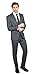 Alain Dupetit 100% Wool Men's Two Button Suit in Many Colors