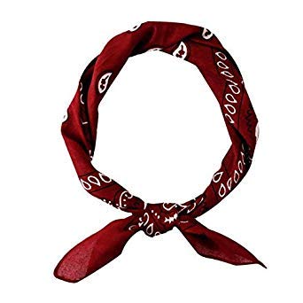 Questquo Hip Hop Unisex Women Men Shawl Cashew Flower Print Square