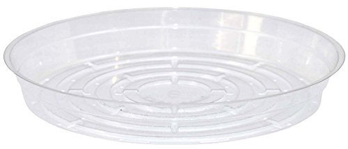 CWP CW-600N Vinyl Plant Saucer, 6-Inch Diameter, Clear