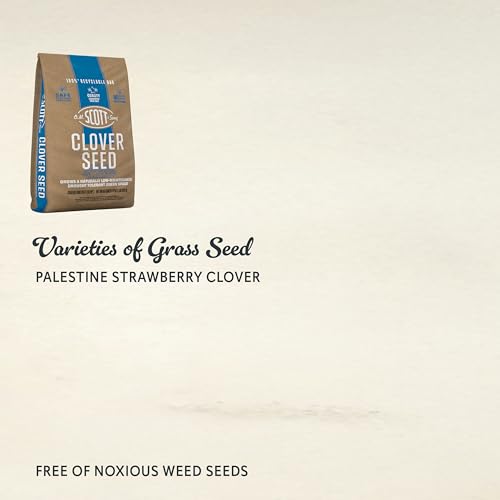 O.M. SCOTT AND SONS CLOVER SEED – LAWN SEED GROWS A NATURALLY LOW MAINTENANCE, DROUGHT-TOLERANT LAWN, 1,000 SQ. FT., 2 LB.