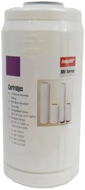 Intelifil (IF-SM-KDF010B) 10"X4.5" Big Blue 2 Lb. KDF-55/GAC Chlorine/Heavy Metal Removal Filter