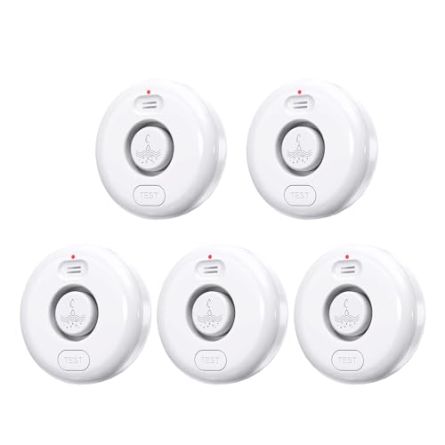 RUIKORING Water Leak Alarm Detector