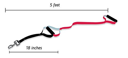 Leashboss Original - Heavy Duty Two Handle Dog Leash for Large Dogs - No Pull Double Handle Training Lead for Walking Big Dogs (Basic Red)