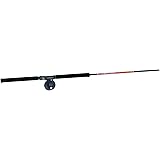 b&m fish pole reel combo