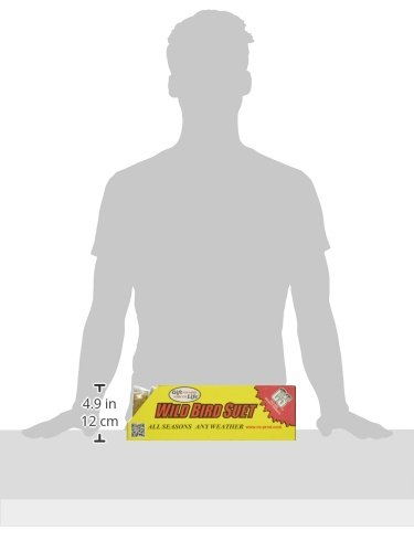 C & S Products Orange Delight, 12-Piece