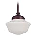 8-Inch Retro Style Schoolhouse Mini-Pendant Light in Bronze Finish