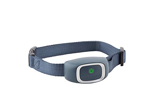 PetSafe Bark Control Collar, Waterproof Basic Bark Control Collar for Small Medium Or Large Dogs 8 lb. & Up, Anti-Bark Static Correction Training Device for Canines, One Size, Blue