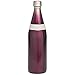 Aladdin Fresco Twst Vac Btl, Amethyst SS Stainless Steel Cafe to Go Bottle | 20oz, 20 oz