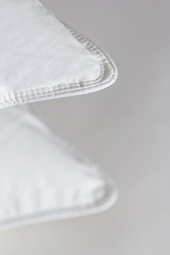 chambersoft pillow by standard textile