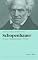Livro Schopenhauer: Filosofia complexa em termos simples