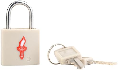 Safe Skies TSA-Recognized Padlock, Light Grey, One Size