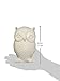 Kikkerland Owl Coin Bank