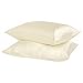 Silky Soft Satin Pillowcase Pair (Standard/Queen, Beige)
