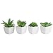 MyGift Assorted Artificial Succulent Plants, Indoor Fake Plant Living Room Decor in Modern White Cube Shaped Ceramic Pots, Set of 4