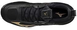 Mizuno Men's Wave Momentum 2 Volleyball Shoe