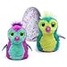 Hatchimal Exclusive Burtle Purple/Teal