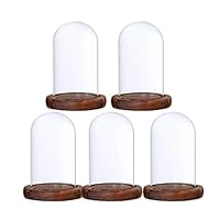 LOVIVER 5Pcs 7x12cm Decorative Clear Glass Dome Cloche Bell Jar Display Case Brown