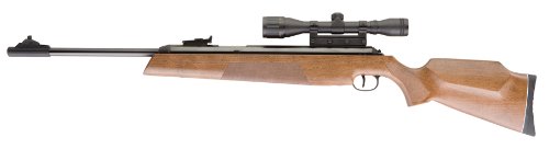 RWS Model 54 .177 Caliber Pellet Airgun Combo