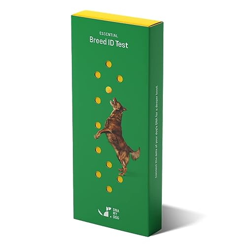DNA My Dog Trusted & Affordable Breed Identification Test | 350+ Breeds Identified with 99%+ Accuracy | Complete Breed Analysis, Personality and Behavior Insights | Easy Cheek Swab, Results in 2 Weeks