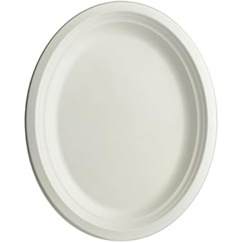 Brheez Oval Plates 100% Natural Sugarcane Biodegradable Compostable Bagasse, Eco-friendly paper alternative - Oval Serving Platters 10