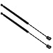 Maxpow Qty (2) Rear Window Glass Gas Charged Lift Support Struts Compatible With Kia Sorento 2003 2004 2005 2006 2007 2008 2009 6603