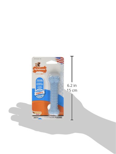 Nylabone Puppy Chew Chicken Dog Chew Toy for Teething Puppies