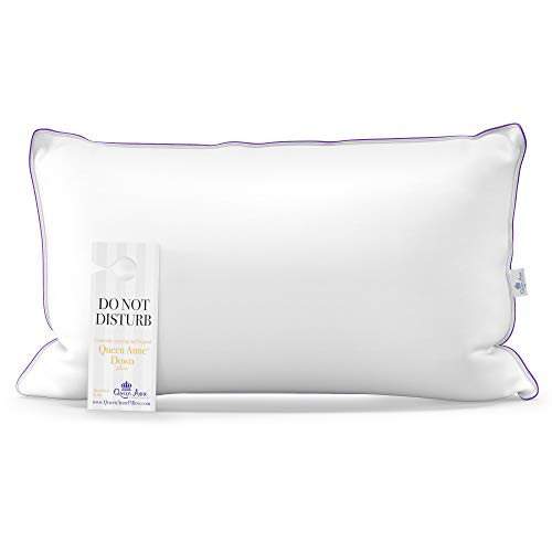 Queen Anne Luxury 100 Down Pillow European White Goose and Duck Down
