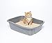 sWheat Scoop Fast-Clumping All-Natural Cat Litter, 14lb Bag