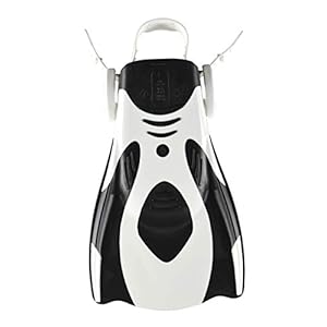 ARENA Erwachsene Unisex Trainings-Flosse Powerfin Fit Trainingsflosse, White-Black, L 3 Schnorchelmasken 31LcMOY7IKL. SS300 Leichte Flosse fürs Training und zum Schnorcheln
Verstellbares Fersenband, extrem weiches Material beugt Krämpfen vor
Kompakt und leicht zu tragen, PVC frei