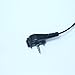 Covert Acoustic Tube Bodyguard Earpiece Headset with Microphone for Yaesu Vertex Radio VX-231