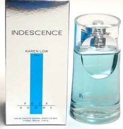 Indescence FOR MEN by Karen Low - 3.4 oz EDT Spray