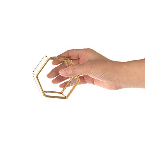 Feyarl Jewelry Trinket Glass Box Ornate Ring Earring Box Preserved Flower Glass Box Organizer Decorative Box Storage (Gold) - Thumbnail 3