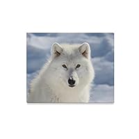 JTMOVING Wall Art Painting Face Big Arctic Wolf Prints On Canvas The Picture Landscape Pictures Oil for Home Modern Decoration Print Decor for Living Room