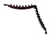 Zhooch Banana Hair Clip – Classic Banana Hair Comb. Iconic Hair accessory inspired by 80s trend. 5 inches Long. Inner Teeth, Premium quality, Strong Hold. Made in Korea. (Deep Burgundy)