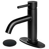 SOKA Bathroom Sink Faucet Single Handle Stainless