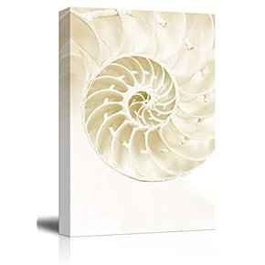 Canvas Wall Art - Abstract Geometry Spiral Style Pattern - Giclee Print Gallery Wrap Modern Home Art Ready to Hang - 12x18 inches