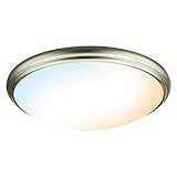 OREiN LED Ceiling Light, Brushed Nickel Flush Mount