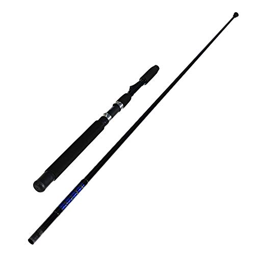 EatMyTackle Sabiki Rig Fishing Rod with Baitcaster Reel Combo (7 ft.) Pricepulse