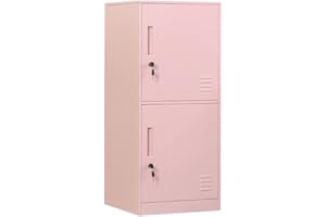DAYTOYS 2 Door Metal Vertical Storage Locker for Kids Bedroom, Children Room, School, Office, Home,Stackable Steel Storage Cabinet for Toys, Sports Equipment,Anti-Tilting Device. (2D, Pink)