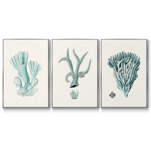 Renditions Gallery Canvas Nature Wall Art Modern Paintings Antique Coastal Cora…