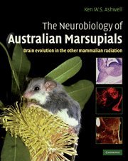 THE NEUROBIOLOGY OF AUSTRALIAN MARSUPIALS
