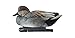 Avian X Topflight Gadwall Decoys Perfectly Replicated Late Season Gray Ducks, Weight Forward Swim Keel, Realistic Movement, Set of 6, Multicolor