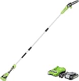 Greenworks 24V 8" Cordless Polesaw