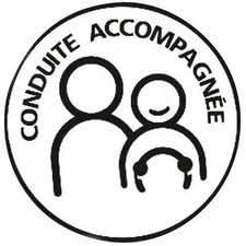 Disque Conduite Accompagnee Electrostatique Amazon Fr Sports Et Loisirs