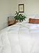 Natural Comfort Soft and Luxurious 300TC Sateen White Down Alternative Duvet Insert, Queen