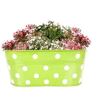 GARBNOIRE Metal Polka Dotted Oval Railing Planters | Planter Pot with Hanger | Gamla | Hanging Planter Basket for Home and Balcony - (Green)